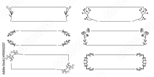 Botanical frame set (hand-drawn flower frame, title, title, dried flower)	