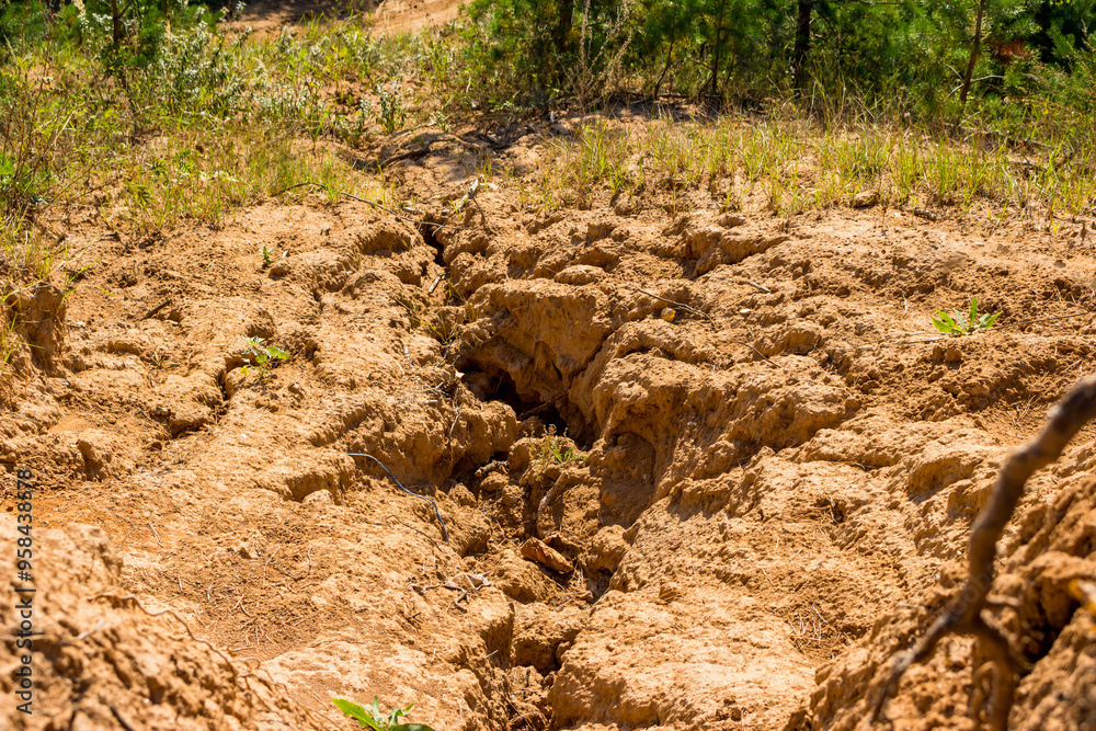 Top-down view of a rain-eroded sand slope Top-down view of a rain-eroded sand slope