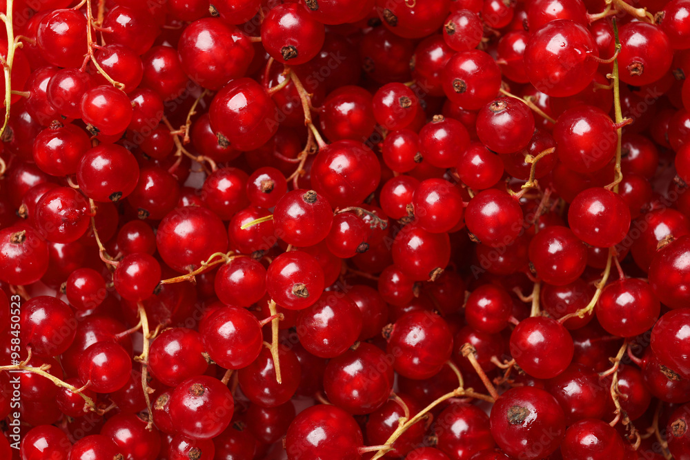 Fresh ripe red currants as background, top view Fresh ripe red currants as background, top view