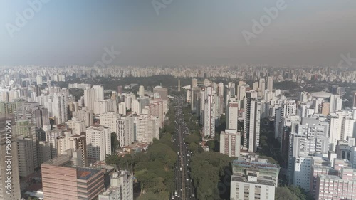 Parque Ibirapuera - São Paulo - Brasil