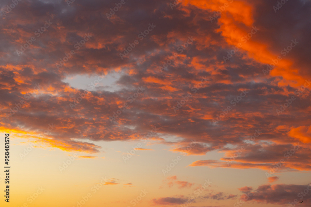 Obraz premium sunset over the sea