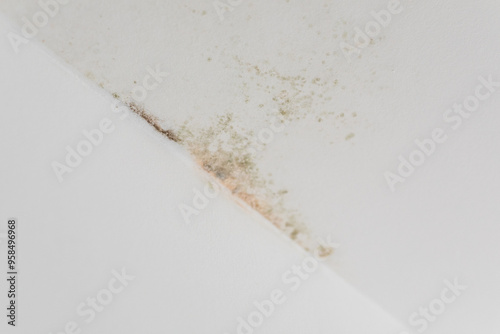 Mold Growth on Ceiling