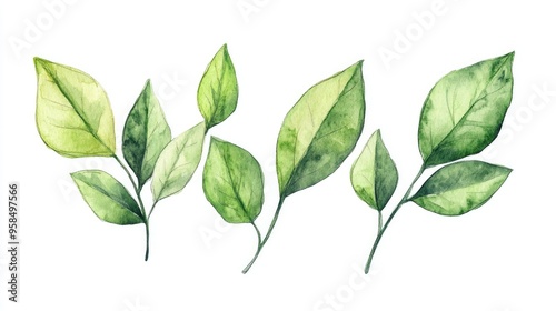 Elegant Watercolor Leaves: A Botanical Illustration Embracing Natural Beauty