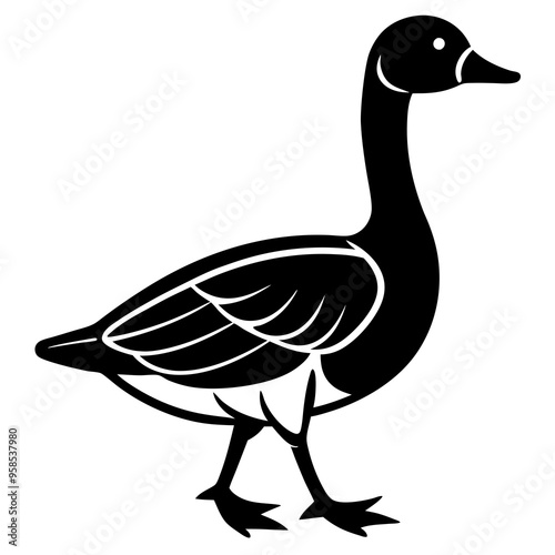 duck isolated