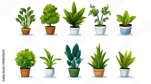 A collection of houseplants in decorative pots, bringing the lushness of indoor greenery to life. photo