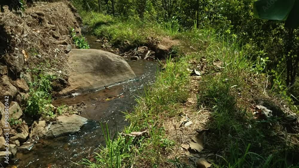 A small irrigation river in a rural rice field area in the mountains. A small irrigation river in a rural rice field area in the mountains.