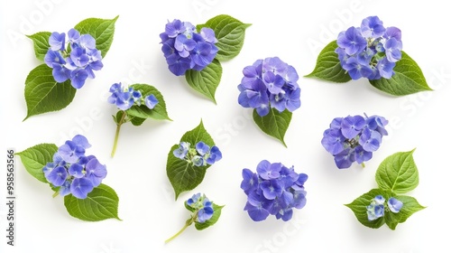 The icon features realistic petals, a rounded shape, and a white background. It depicts a blue hydrangea flower cluster with detailed petals.
