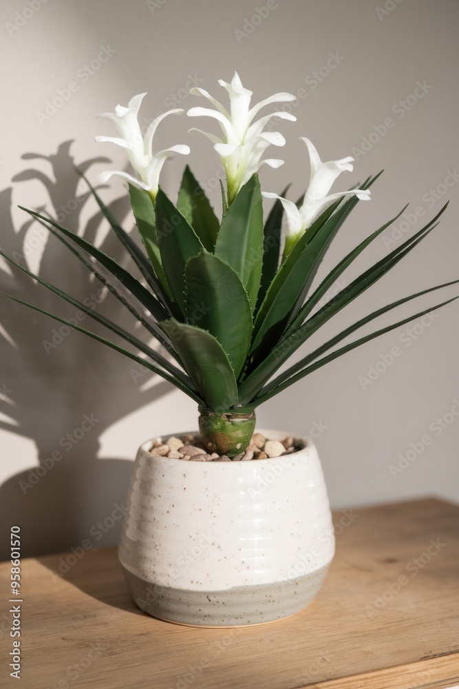 Potted Plant with White Flowers and Green Foliage Potted Plant with White Flowers and Green Foliage
