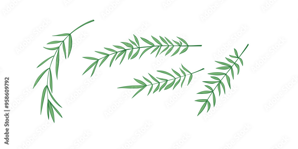 Vector set of plant twigs. Spice, rosemary sprigs in doodle flat style. Hand drawn color illustration, clip art Vector set of plant twigs. Spice, rosemary sprigs in doodle flat style. Hand drawn color illustration, clip art
