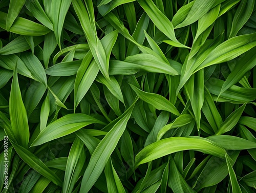 Green Foliage Background