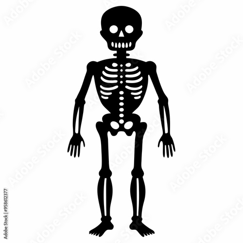 3d rendered illustration of a skeleton