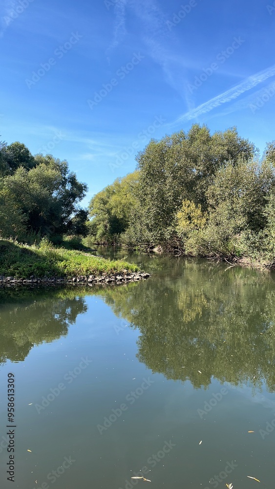 Obraz premium River with forest