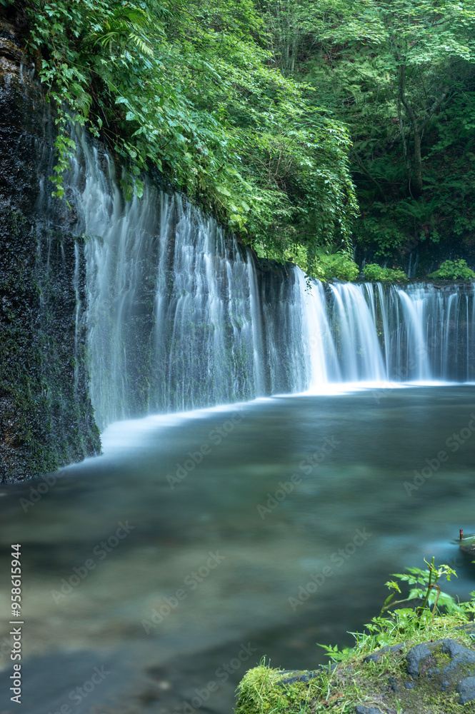 Fototapeta premium 長野県軽井沢の白糸の滝