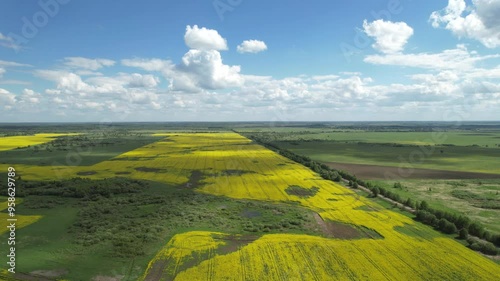 Aerial drone view summer landscape cloudy sky, road and rapeseed fields, forests, High quality 4k footage