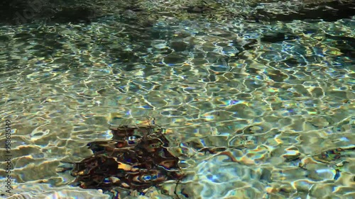 透明度の高いキラキラする波のたった水面