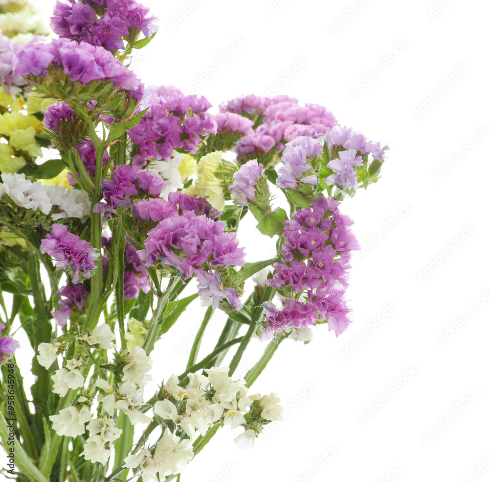 Bouquet of beautiful limonium flowers isolated on white Bouquet of beautiful limonium flowers isolated on white