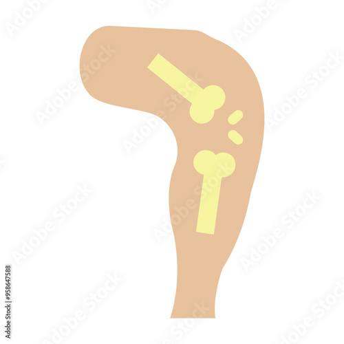 Limb Joints Vector Flat Icon Design