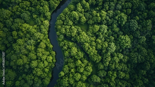 Aerial View of a Winding River Through Lush Forest