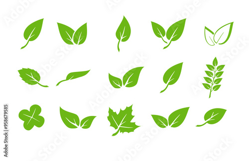 Green leaf icons set. Elements design for natural, eco, vegan. Leaves icon on isolated background. Collection green leaf. Vector