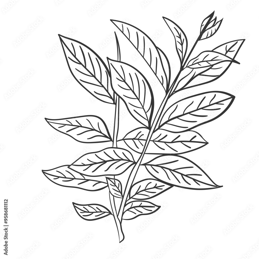 Handdrawn Art Line Floral Illustration Handdrawn Art Line Floral Illustration