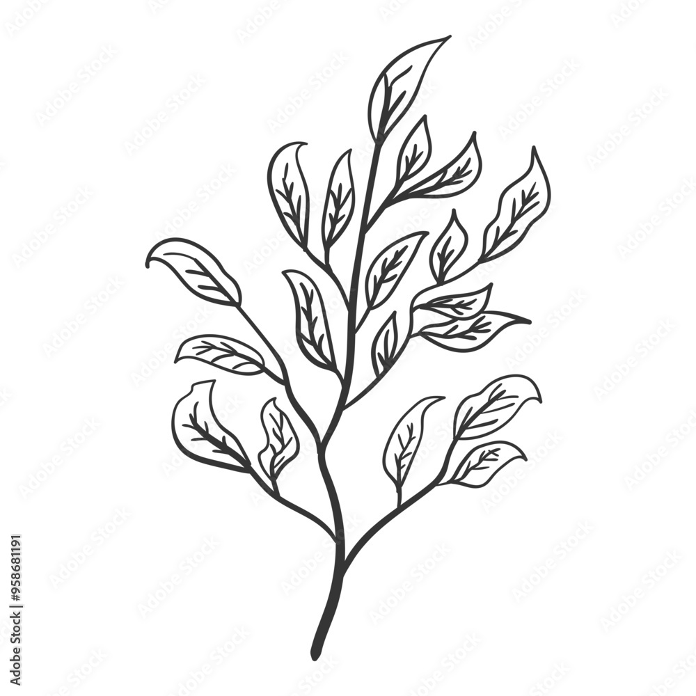 Handdrawn Outline Floral Illustration Handdrawn Outline Floral Illustration
