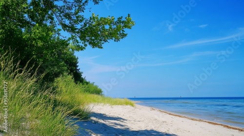 Serene Beach Landscape