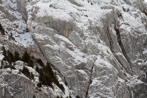 Falaise glacée