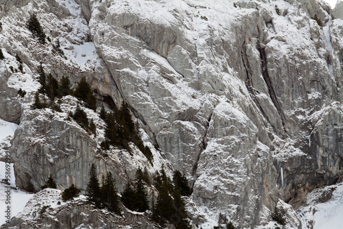 Falaise glacée
