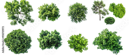 Aerial view of various lush green trees showcasing diverse shapes and sizes isolate on transparent background, cutout, png