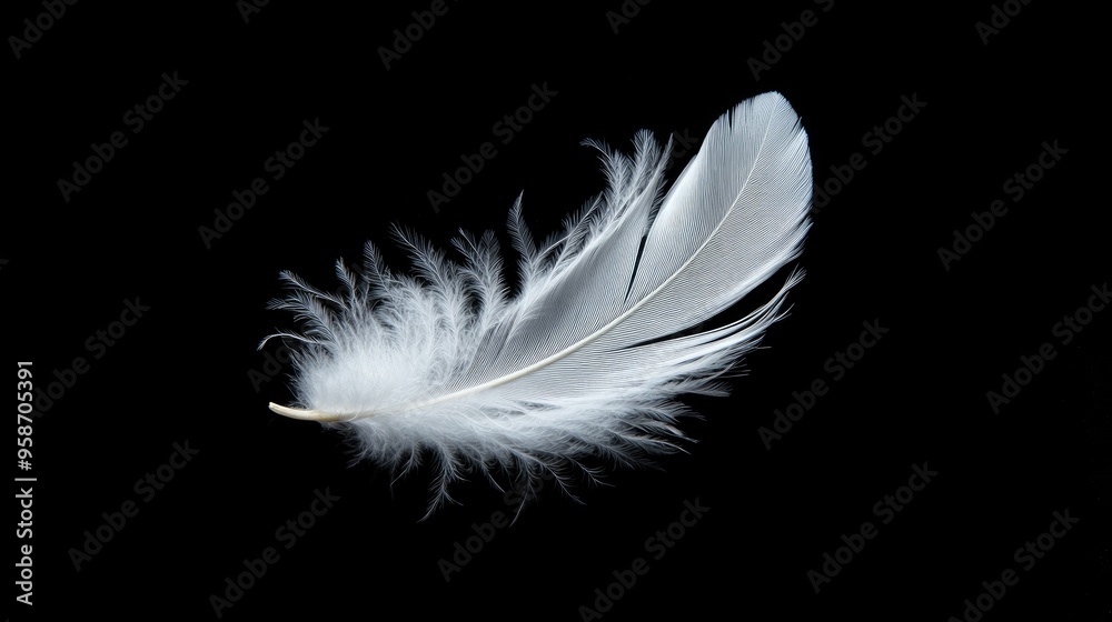 Elegant white feather against a solid black background, emphasizing its delicate and refined nature Elegant white feather against a solid black background, emphasizing its delicate and refined nature