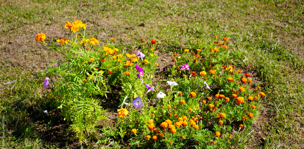 Flower bed. Decorative flowerbed in the park, garden. Flower bed. Decorative flowerbed in the park, garden.