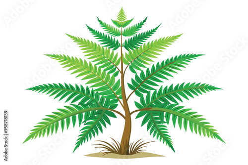 fern tree white background P.eps