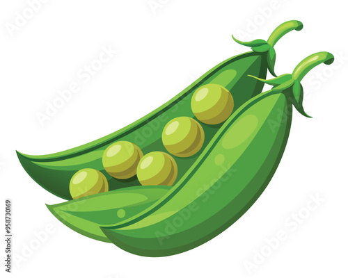 Fresh Peas Vegetable vector illustration