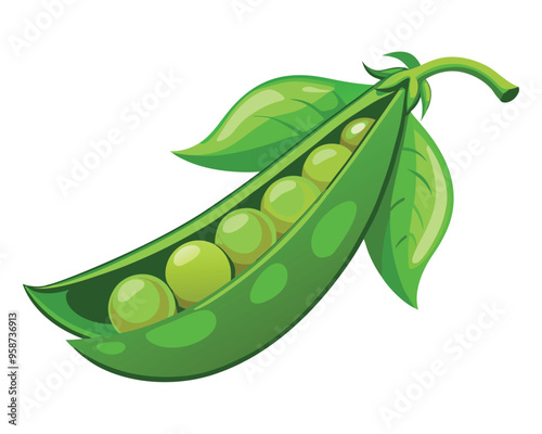 Fresh Peas Vegetable vector illustration