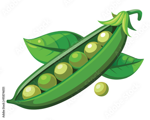 Fresh Peas Vegetable vector illustration
