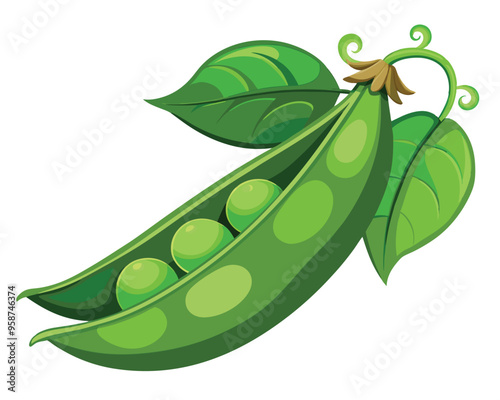 Fresh Peas Vegetable vector illustration