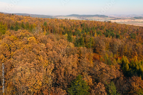 Autumn Forest Panorama - Aerial View of Vibrant Fall Foliage and Rolling Hills