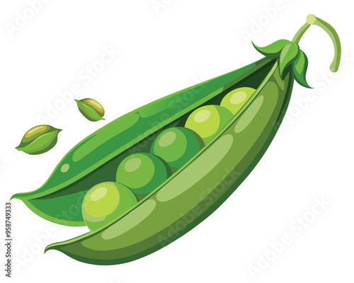 Fresh Peas Vegetable vector illustration