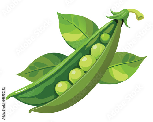 Fresh Peas Vegetable vector illustration