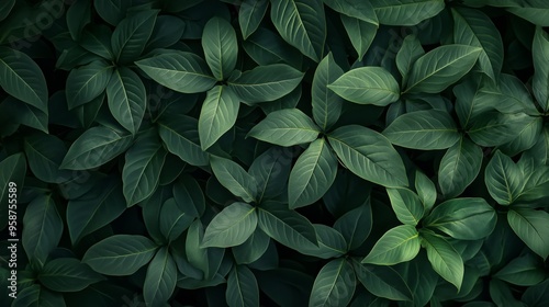 green bush forest close up top view hyperrealistic dark background high resolution nature photo