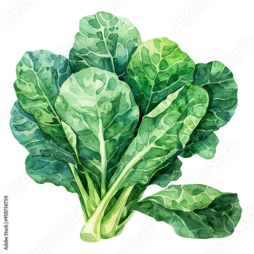 Watercolor illustration of a bunch of fresh green leafy vegetables.