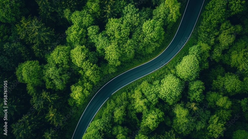 lovely aerial view of the forest's asphalt road lovely aerial view of the forest's asphalt road