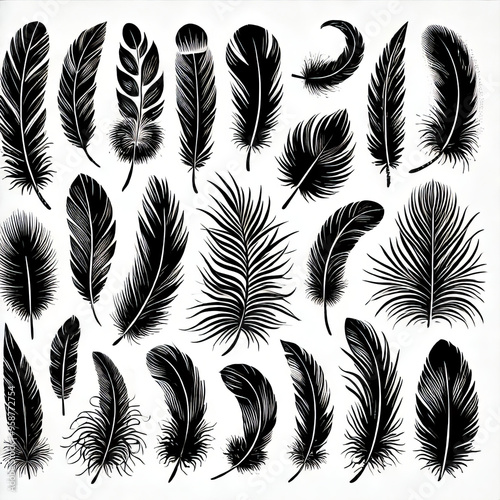 Black and White Feather Collection Vector Illustration