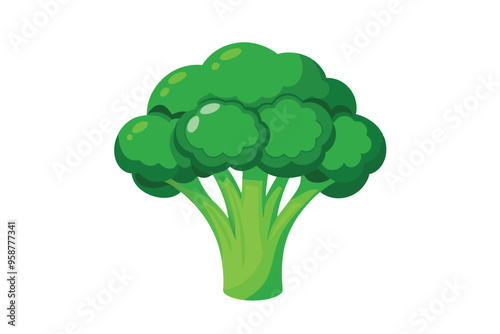 Broccoli vector illustration isolated in white background