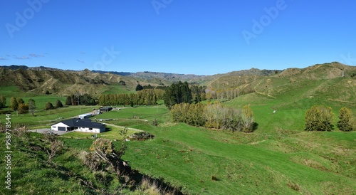 Large farm of Strathmore, New Zeland