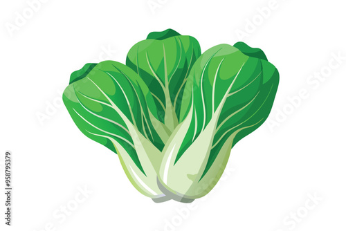 Bok choy vector illustration isolated in white background