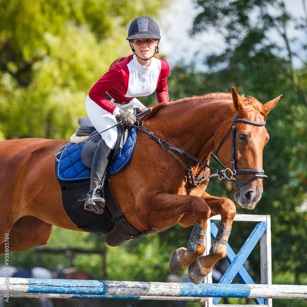 Obraz premium Young equestrian girl jumping over a hurdle on a sorrel horse in a sunny outdoor arena during a show-jumping competition