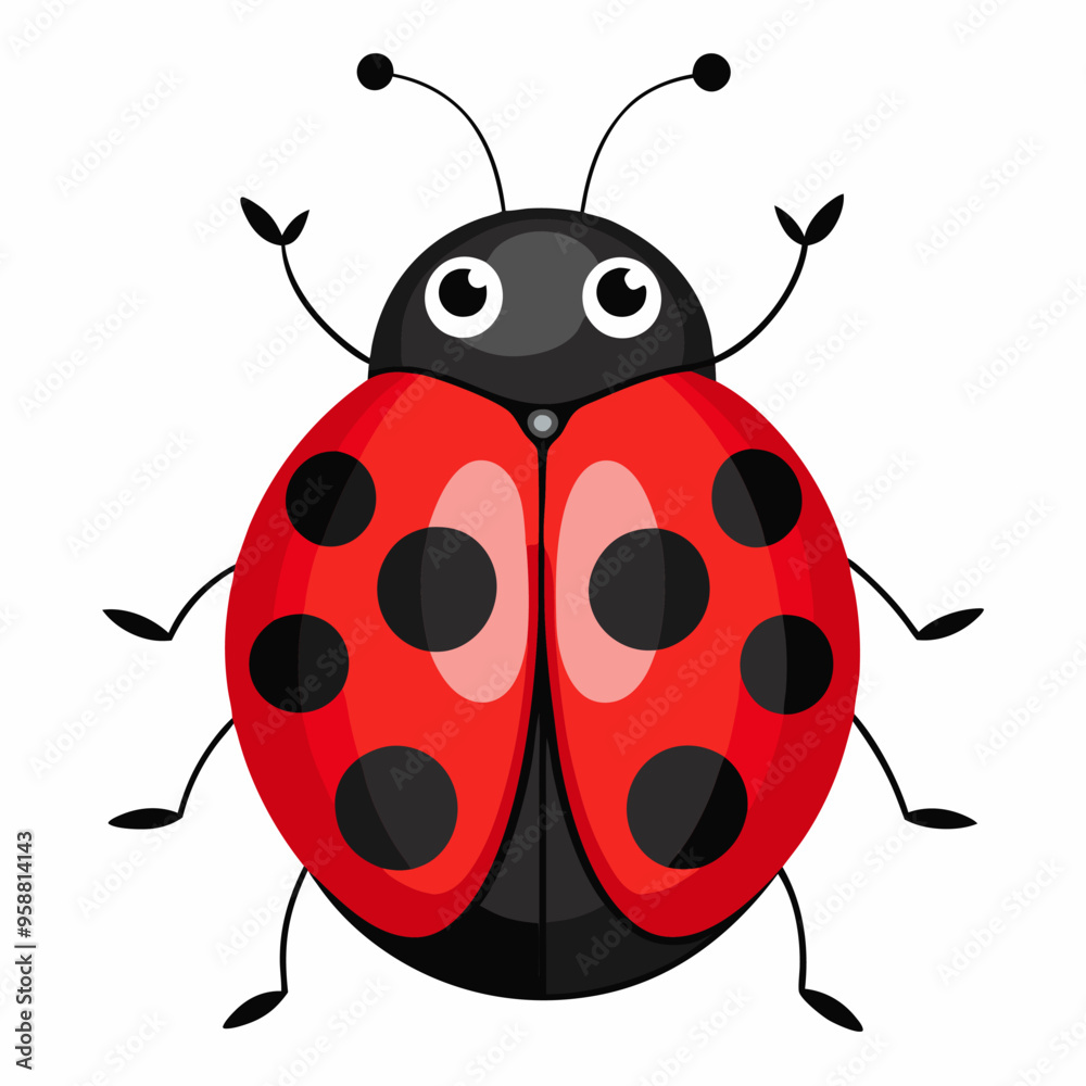 illustration of a ladybug