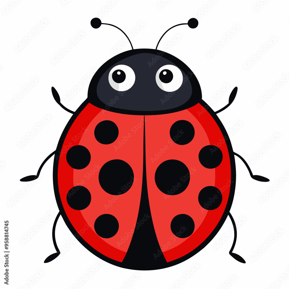 illustration of a ladybug illustration of a ladybug
