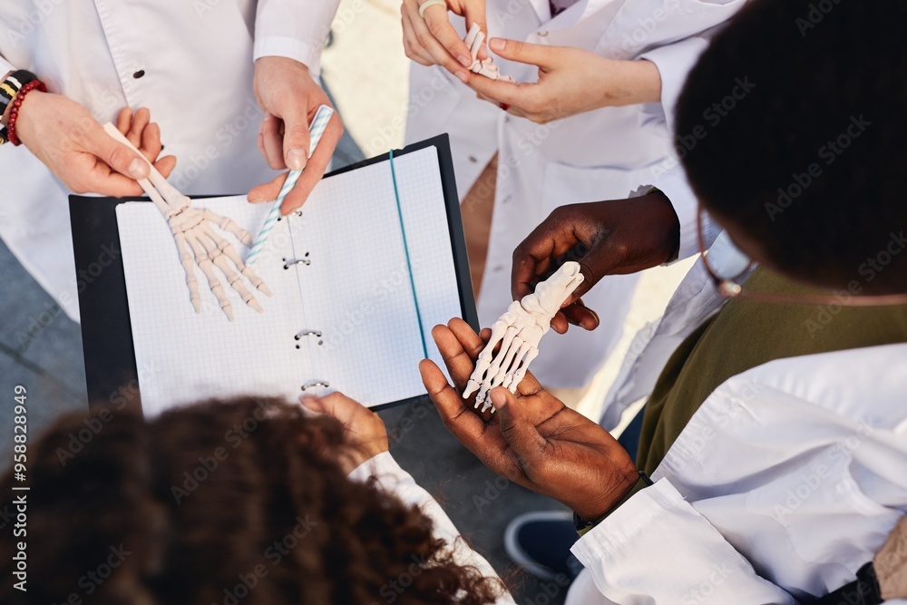 © Seventyfour - Top view of foot skeleton model in hands of African American medical student examining bones while standing in circle with classmates outdoors, copy space © Seventyfour - Top view of foot skeleton model in hands of African American medical student examining bones while standing in circle with classmates outdoors, copy space